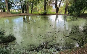 Rybník pri kaštieli v Bohuniciach