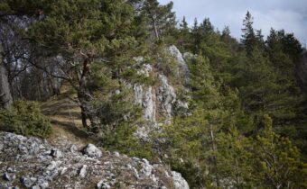 Čierny vrch – 937,0m (Strážovské vrchy)