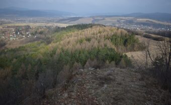 Kamenica (Považské podolie)