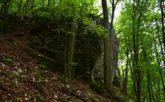 Z Belušských Slatín na vrch Butkov